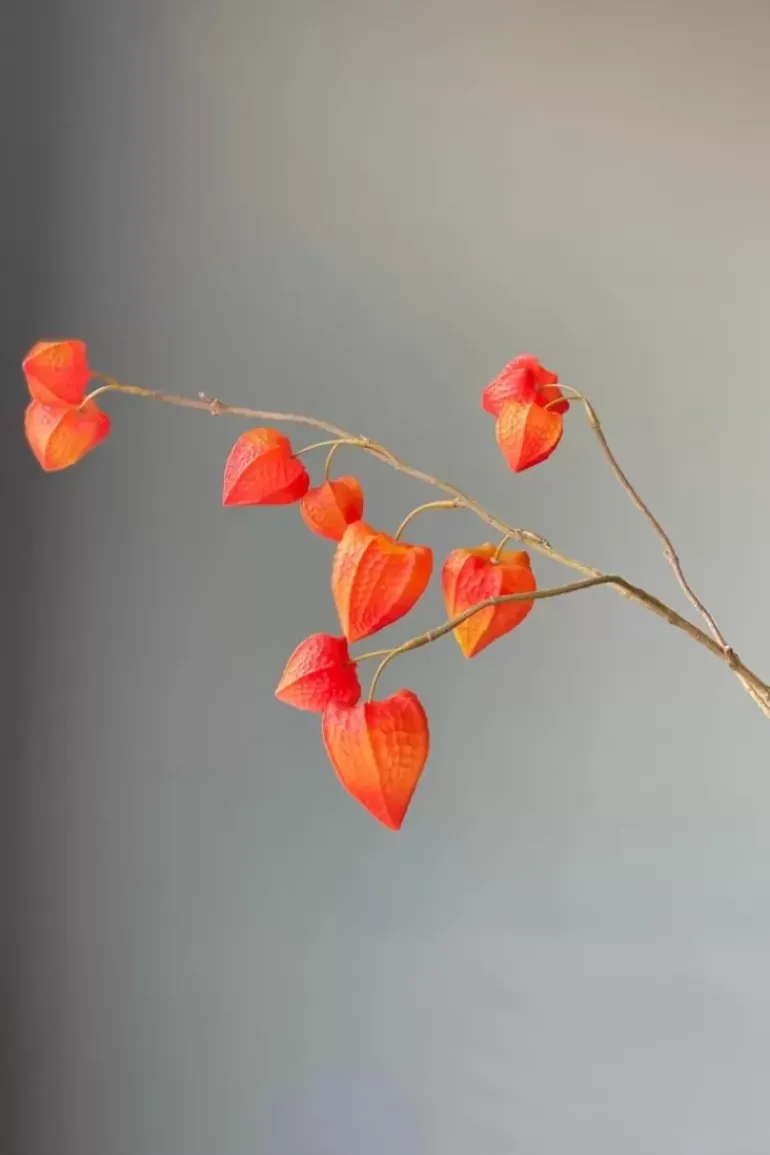 Pip Kunstliche Blumen Fall Beauty