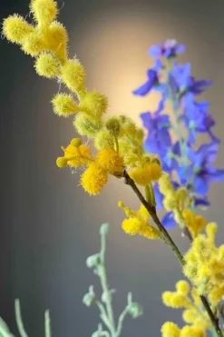 Pip Kunstliche Blumen Floral Fantasy