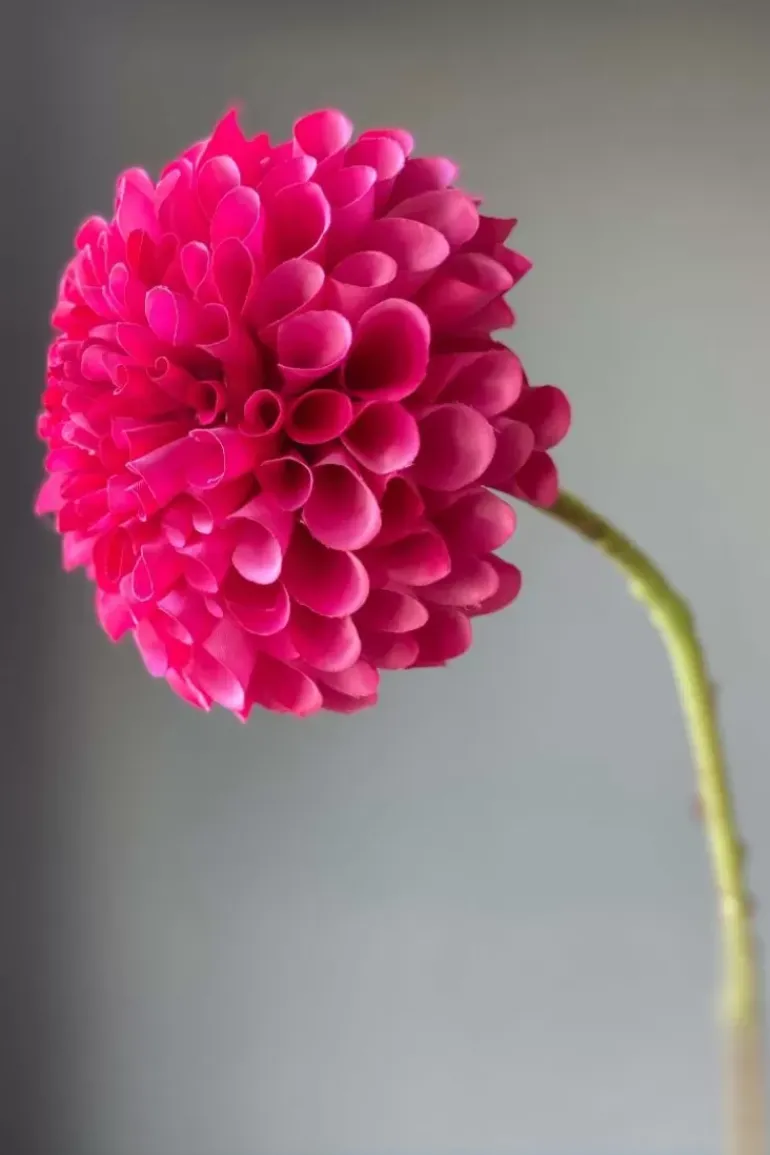 Pip Kunstliche Blumen Sweet Symphony